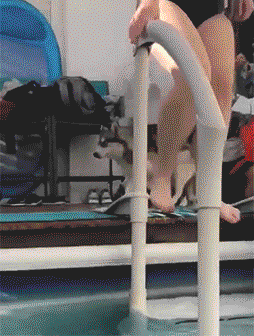 搞笑的生活场景_可爱宠物的有趣瞬间_搞笑新闻动态图片