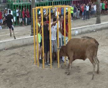 搞笑新闻动态图片_搞笑的生活场景_可爱宠物的有趣瞬间