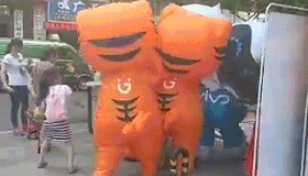 可爱宠物的有趣瞬间_搞笑的生活场景_搞笑新闻动态图片