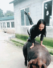 可爱宠物的有趣瞬间_搞笑的生活场景_搞笑新闻动态图片