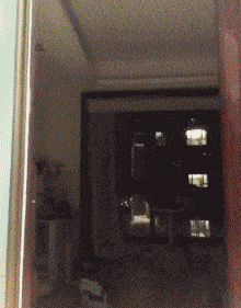 搞笑新闻动态图片_可爱宠物的有趣瞬间_搞笑的生活场景