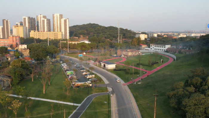 四褐山山体南侧地块生态复绿工程。何颖 摄