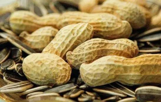 小时候吃的零食_怀旧零食高粱芝麻酥_70后80后童年零食回忆