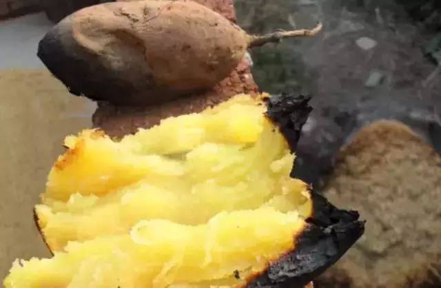 怀旧零食高粱芝麻酥_小时候吃的零食_70后80后童年零食回忆