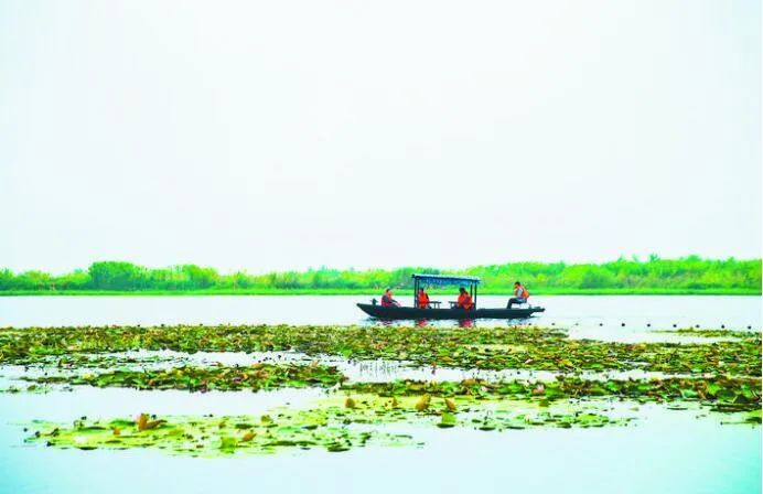 环巢湖生态保护与修复工程_合肥巢湖新闻_巢湖国家生态文明先行示范区