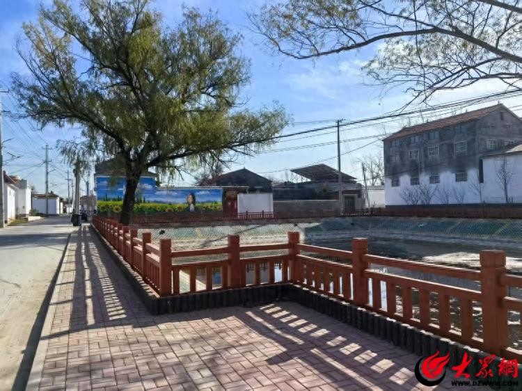 山东郓城：多措并举焕新颜 美丽乡村入画来