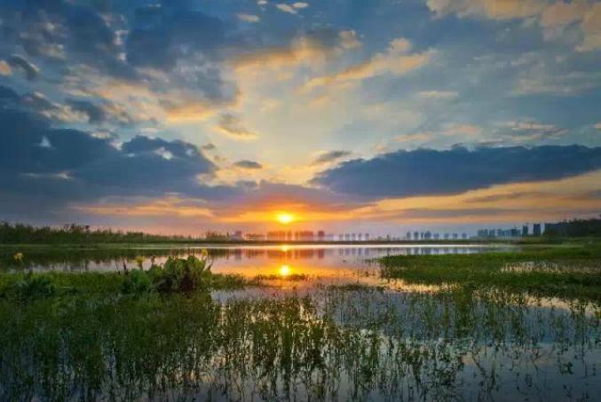 合肥一季度GDP增速长三角第一_合肥巢湖新闻_合肥一季度经济数据解读