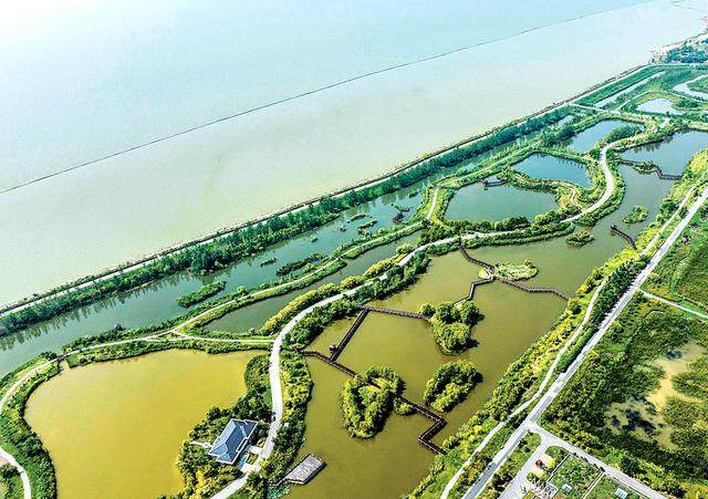 安徽合肥：多彩湿地扮靓“最好名片”