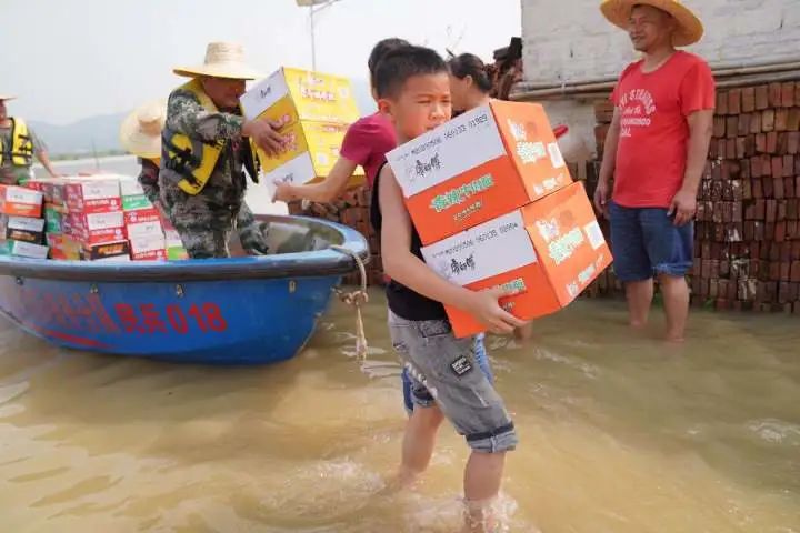 佛冈县龙山镇灾后恢复_佛冈县龙山镇灾情情况_佛冈龙山今天新闻