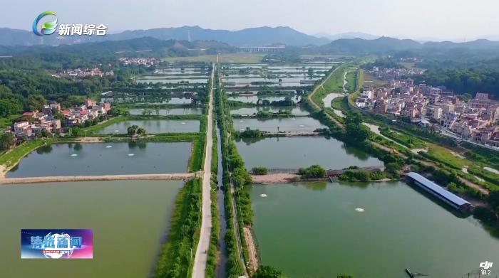 清远佛冈龙山镇网格化治理_清远佛冈龙山镇基层治理新模式_佛冈龙山今天新闻