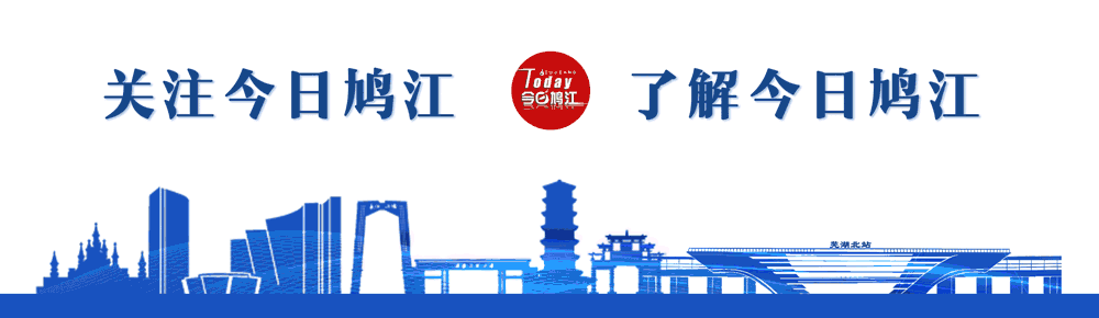 鸠江区最新发布！事关中小学招生服务区域