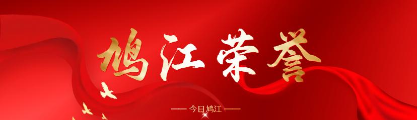 安徽师范大学附属外国语学校城东校区招生范围_芜湖市鸠江区政府搬迁_芜湖市2025年中小学招生服务区域划分