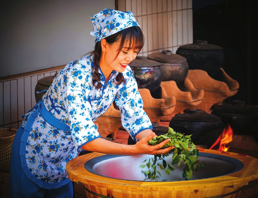 山西药茶灼灼其华