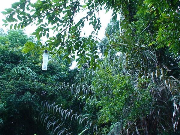 女人右眼皮跳预兆_男人右眼皮跳预兆_右眼皮跳是什么预兆？