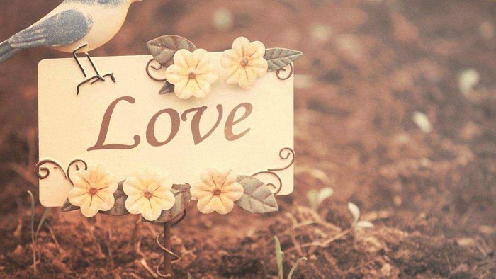 南康白起新闻_南康白起爱情悲剧_南康白起感情经历