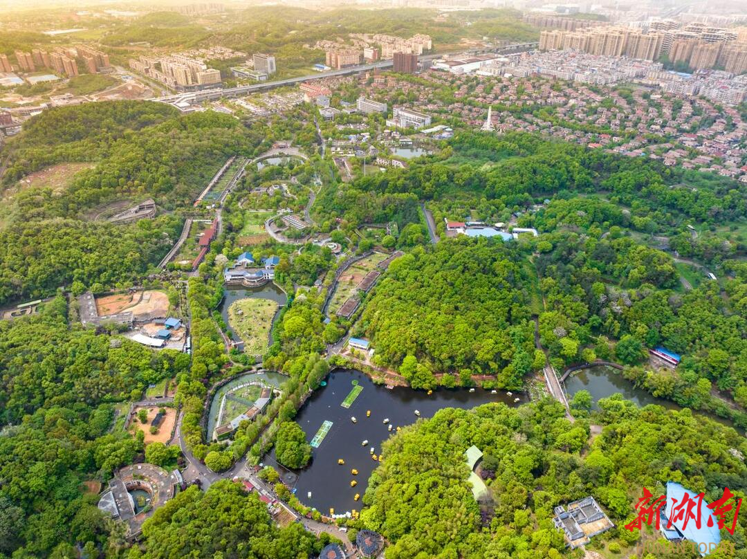 2025湖南政法频道天心区新闻_天心区2025年经济工作会议_长沙市天心区经济发展情况