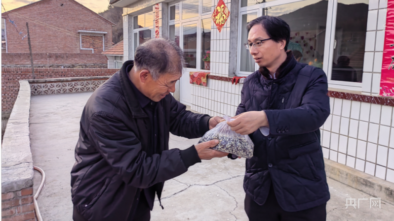 河北省农科院新玉米种子_承德隆化新闻_承德市春耕生产