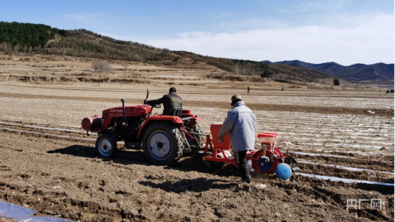 承德市春耕生产_河北省农科院新玉米种子_承德隆化新闻