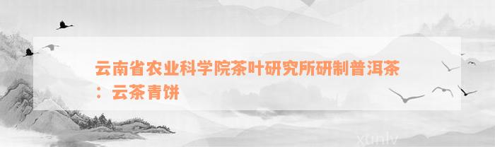 云南省农业科学院茶叶研究所研制普洱茶：云茶青饼