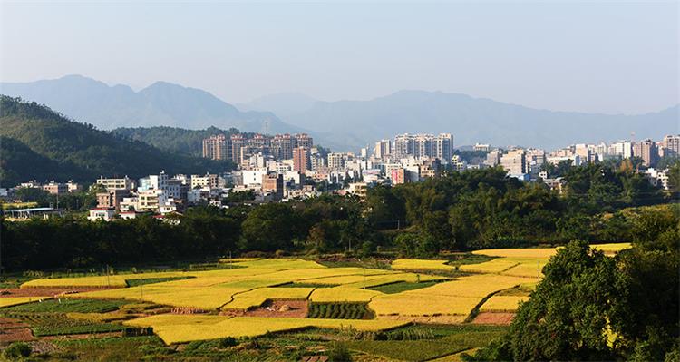 连平县人民政府门户网站