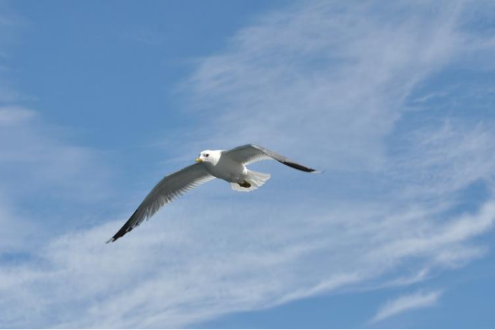 对比修辞手法例句100个