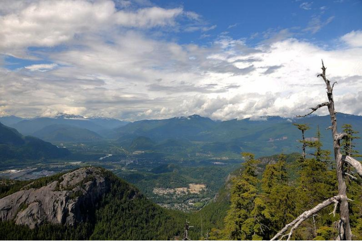 修辞手法对比例句大全_对比修辞手法例句_修辞手法在新闻标题中的运用