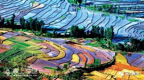 凉山今晚800新闻视频_凉山推广普通话宣传周_凉山州交警支队电动车治理