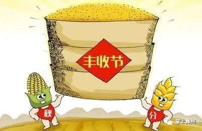 凉山州交警支队电动车治理_凉山推广普通话宣传周_凉山今晚800新闻视频