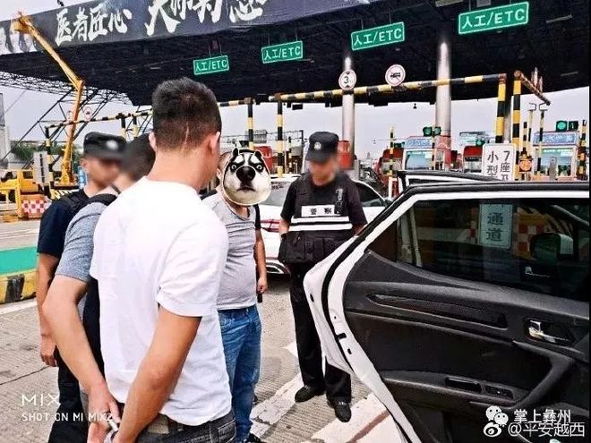 凉山今晚800新闻视频_凉山州交警支队电动车治理_凉山推广普通话宣传周