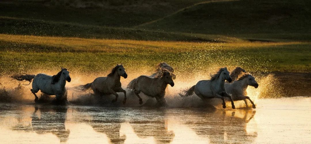 战地叛逆连队3_战地一打折优惠_战地一游戏特色