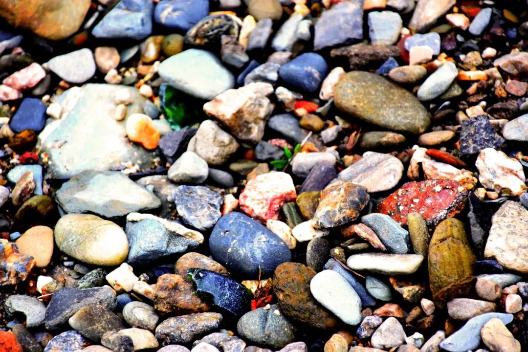 战地一游戏特色_战地一打折优惠_战地叛逆连队3