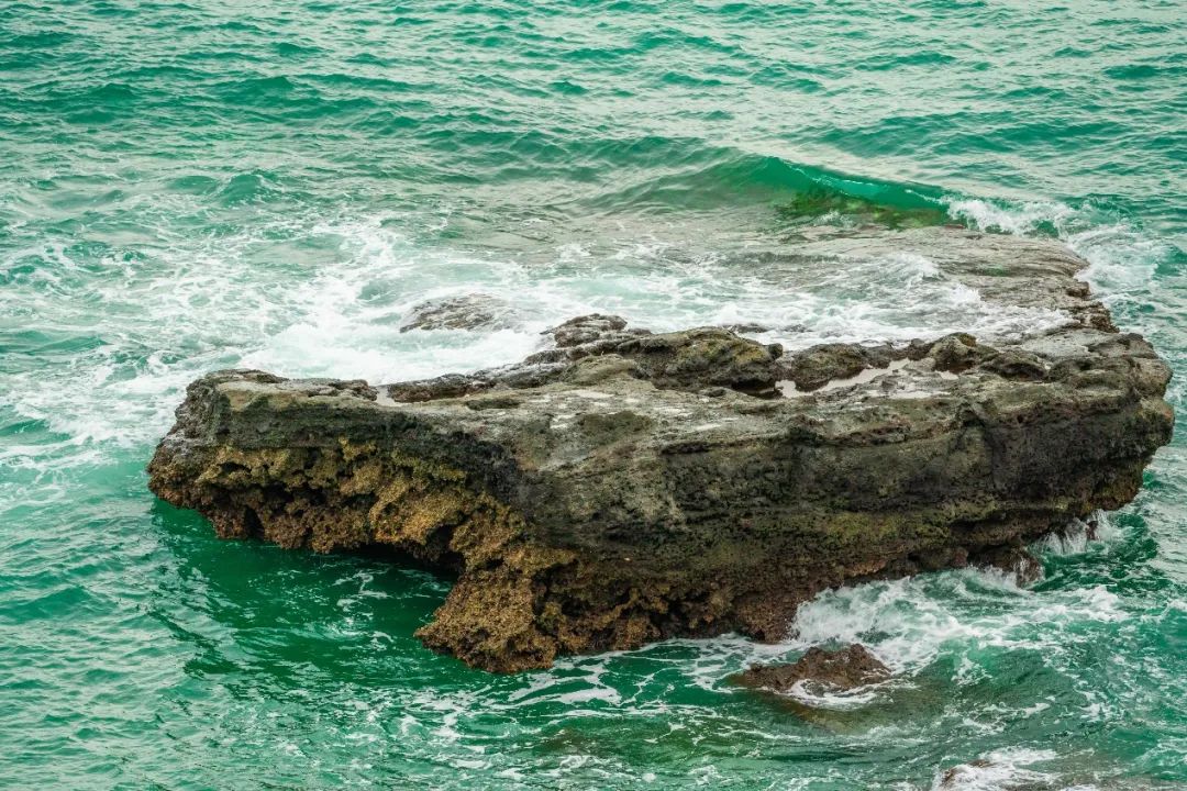 战地一打折优惠_战地叛逆连队3_战地一游戏特色