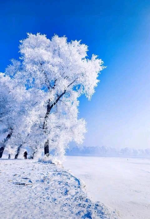 吉林市可收到的本地调频广播电台一览（2023.11）