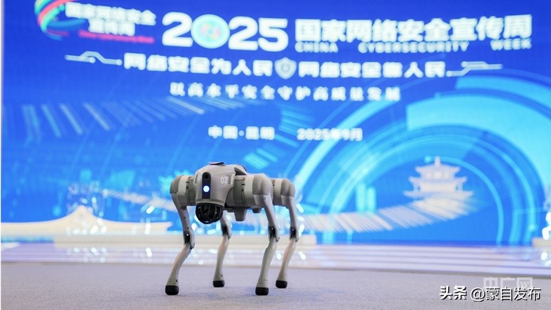 2025年10月15日昆明新闻视频_数字昆明 网络安全博览会 网络安全产品和服务国际推介会