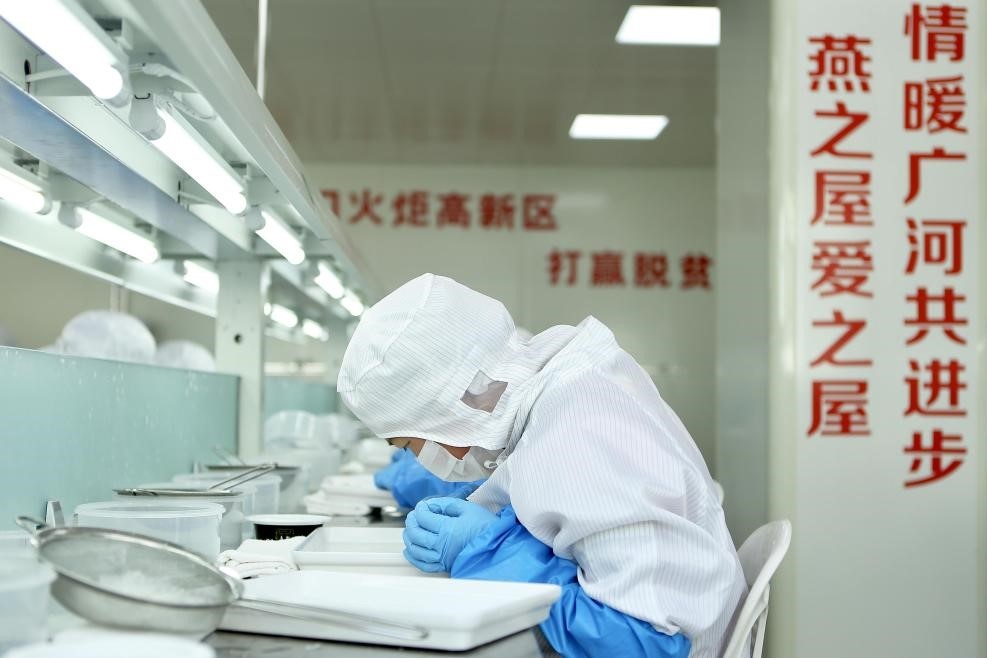 燕之屋广河扶贫车间_燕之屋新闻_燕之屋模式东西协作