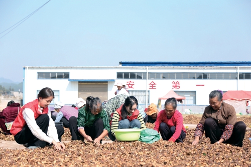 贵州黎平县：“四抓”促“四强”　振兴加速度