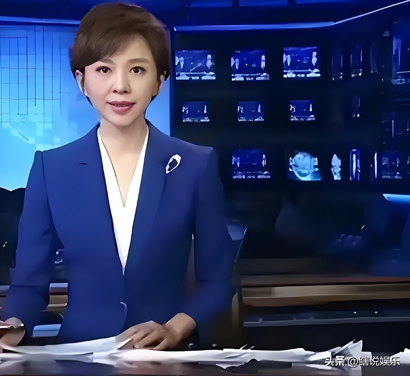 欧阳夏丹 淡出央视 公众视野_欧阳夏丹 母亲病重 辞职照顾_欧阳夏丹视频