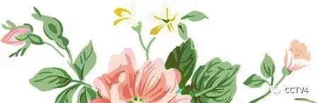 慢性支气管炎与慢阻肺_慢阻肺症状_慢阻肺预防