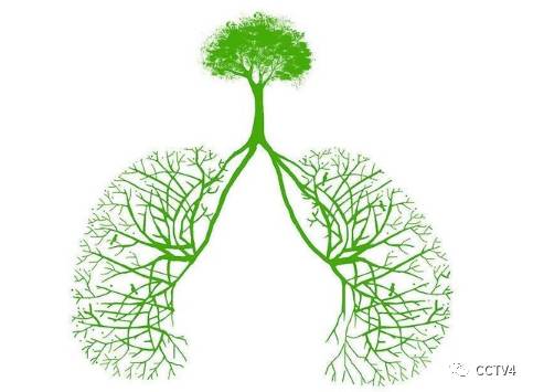 慢阻肺症状_慢阻肺预防_慢性支气管炎与慢阻肺