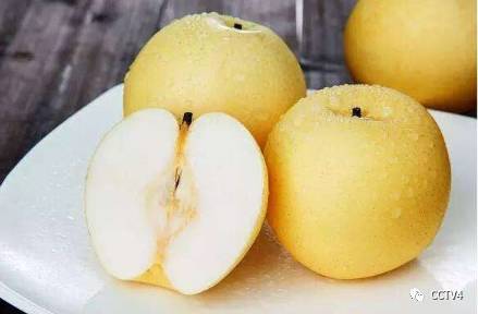 慢性支气管炎与慢阻肺_慢阻肺预防_慢阻肺症状