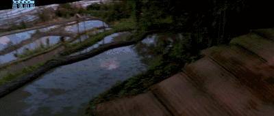 姜文邪不压正 电影剧情 解读_甄子丹姜文不和