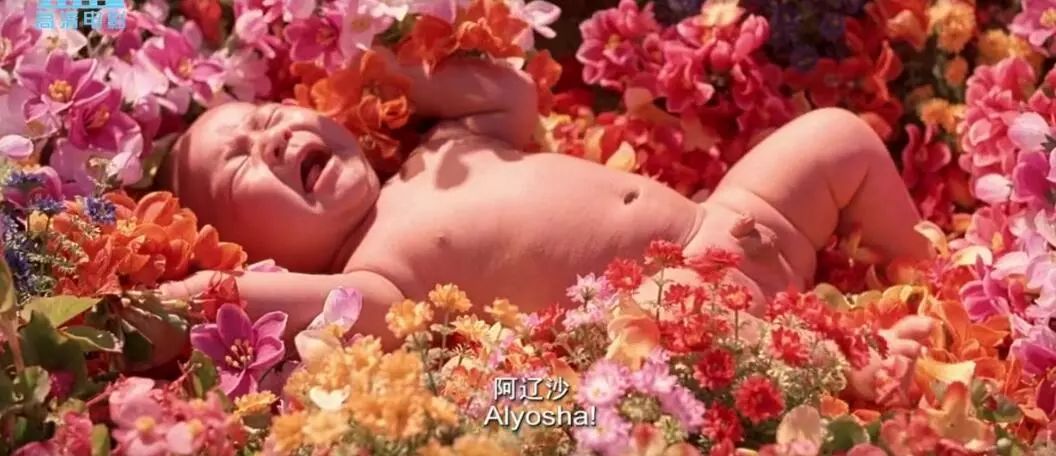 甄子丹姜文不和_姜文邪不压正 电影剧情 解读