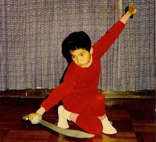 甄子丹姜文不和_甄子丹功夫基因_甄子丹武术世家