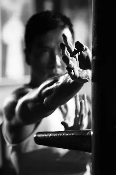 甄子丹姜文不和_甄子丹武术世家_甄子丹功夫基因