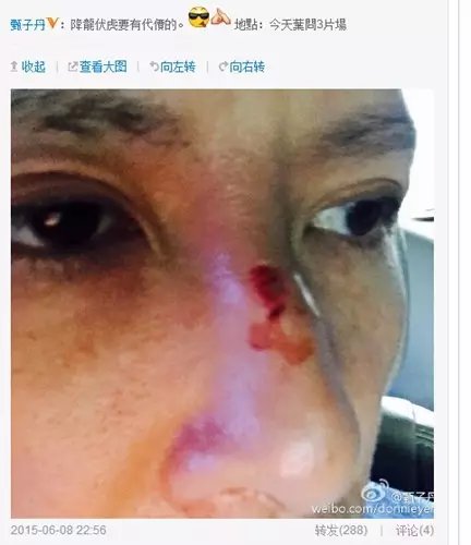 甄子丹功夫基因_甄子丹姜文不和_甄子丹武术世家