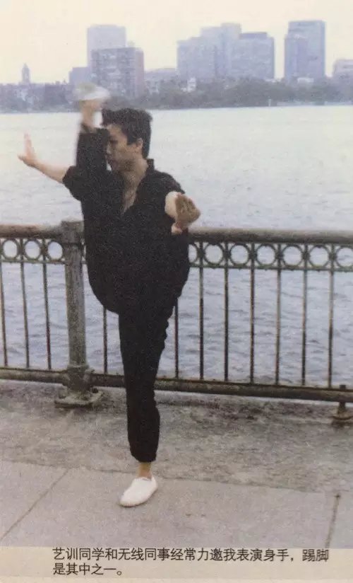 甄子丹武术世家_甄子丹功夫基因_甄子丹姜文不和