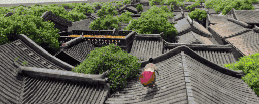 姜文北洋三部曲终章评价_姜文邪不压正影评_甄子丹姜文不和