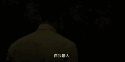 王晶追龙 甄子丹跛豪 刘德华雷洛_甄子丹姜文不和