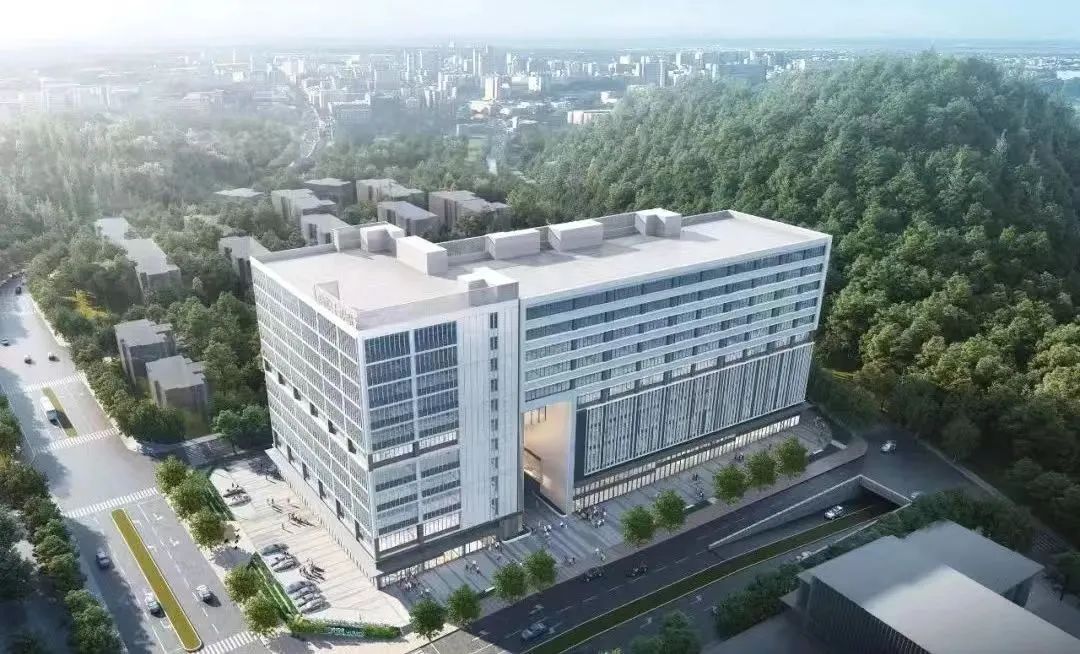 东莞市2024年重大项目计划_虎门镇重大建设项目_虎门南栅新闻