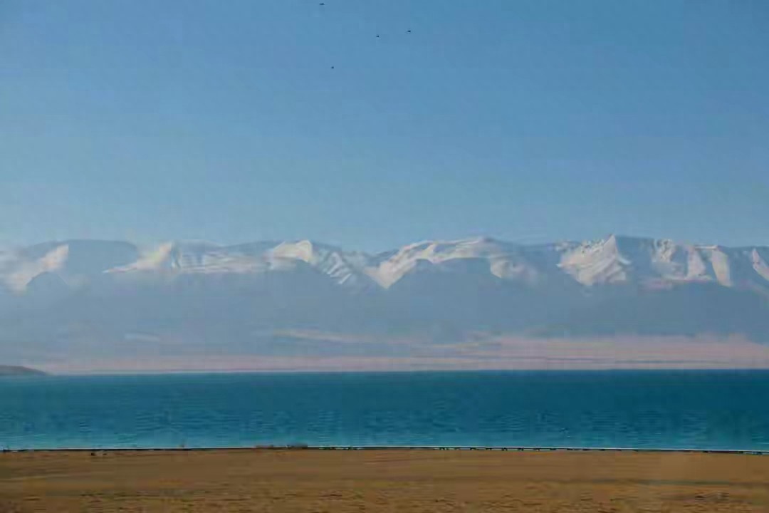 法院：法律不为自己“碰瓷”买单，男子地铁截肢索赔百万被驳回